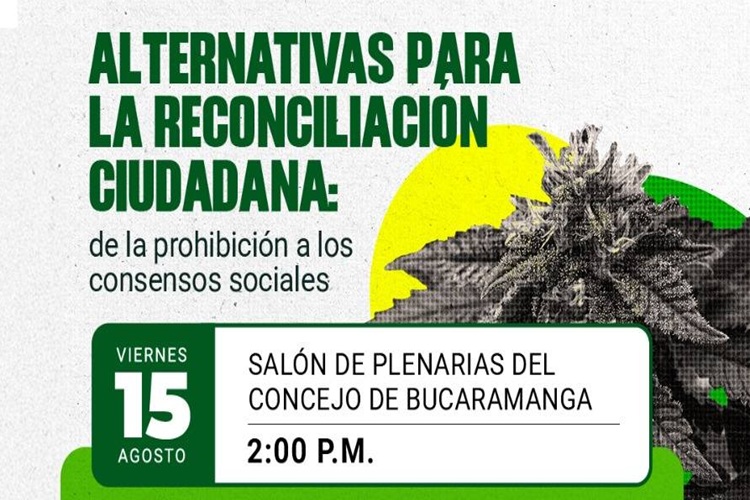 Audiencia Cannabis Bucaramanga_1