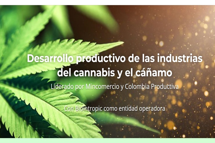 Colombia lanza plataforma de formación en industrias del cannabis y el cáñamo